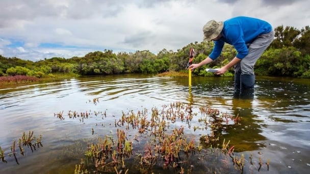 NBSAP Tracker evaluates conservation strategy effectiveness across five core aspects